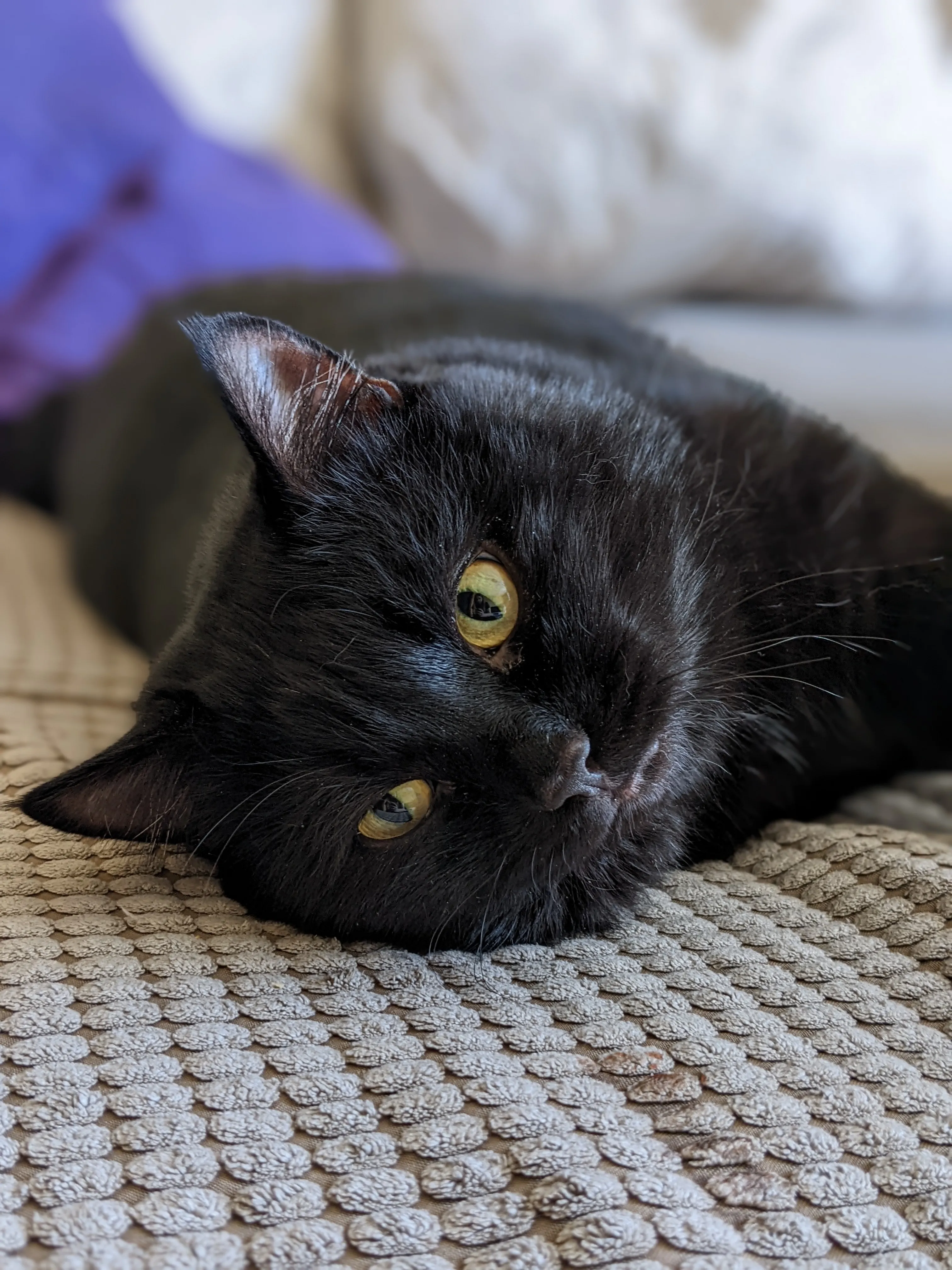rammdarksad